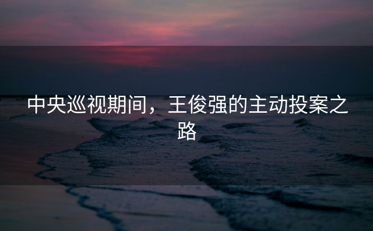 中央巡视期间，王俊强的主动投案之路