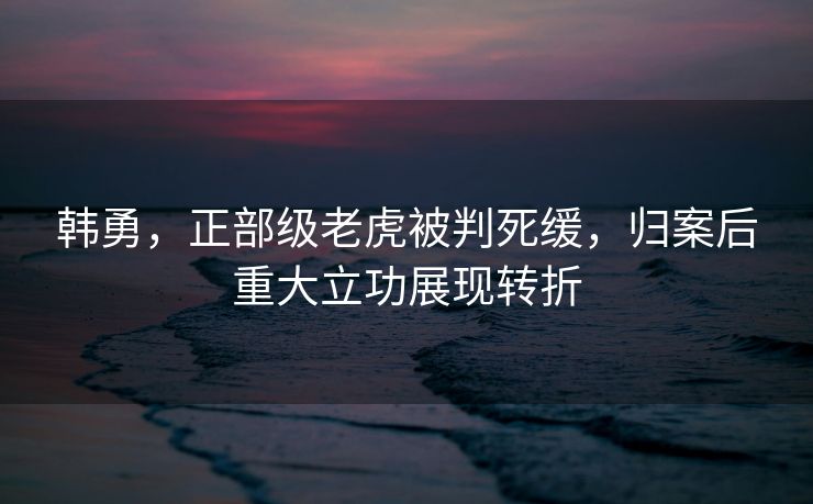 韩勇，正部级老虎被判死缓，归案后重大立功展现转折