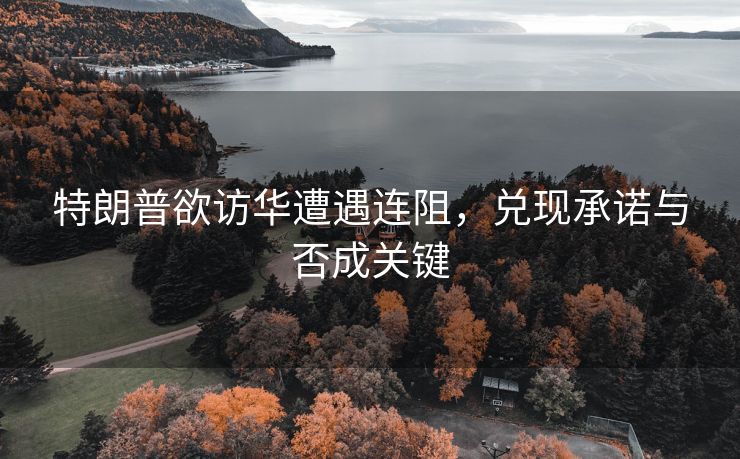 特朗普欲访华遭遇连阻，兑现承诺与否成关键