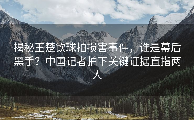 揭秘王楚钦球拍损害事件，谁是幕后黑手？中国记者拍下关键证据直指两人
