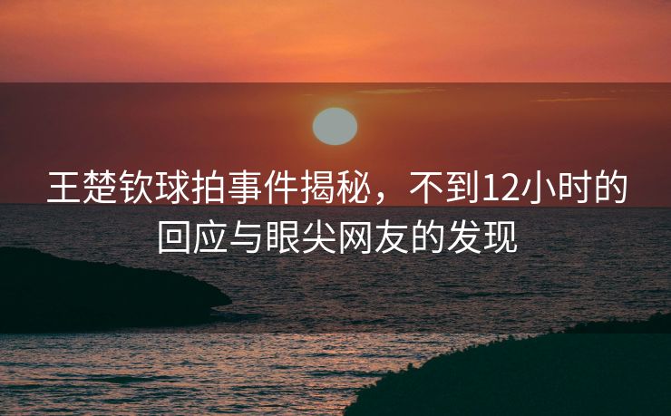 王楚钦球拍事件揭秘，不到12小时的回应与眼尖网友的发现