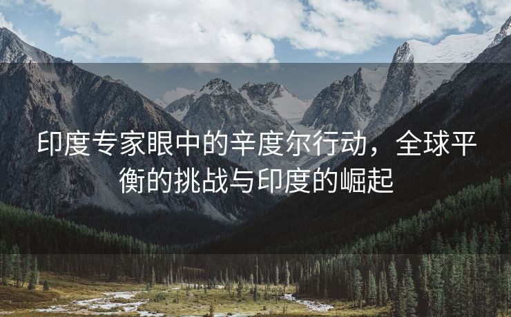 印度专家眼中的辛度尔行动，全球平衡的挑战与印度的崛起