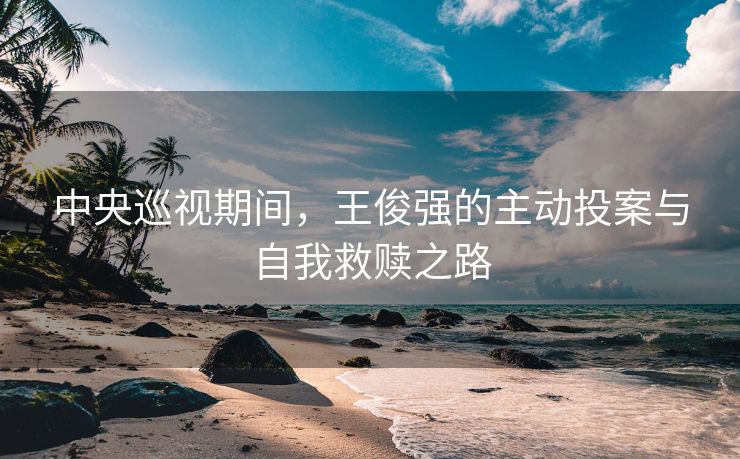 中央巡视期间，王俊强的主动投案与自我救赎之路