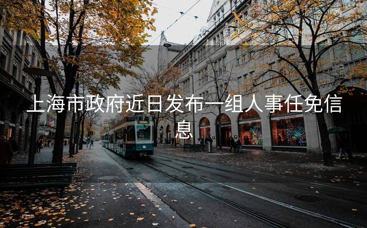 上海市政府近日发布一组人事任免信息