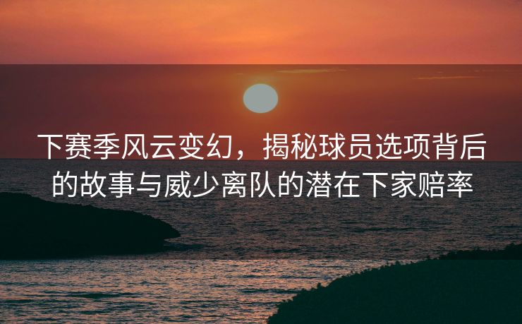 下赛季风云变幻，揭秘球员选项背后的故事与威少离队的潜在下家赔率