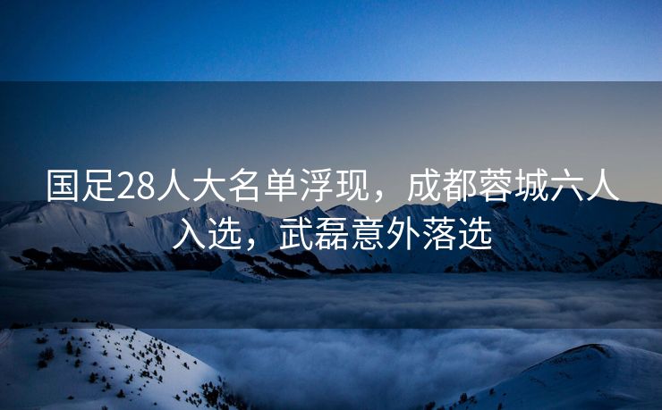 国足28人大名单浮现，成都蓉城六人入选，武磊意外落选