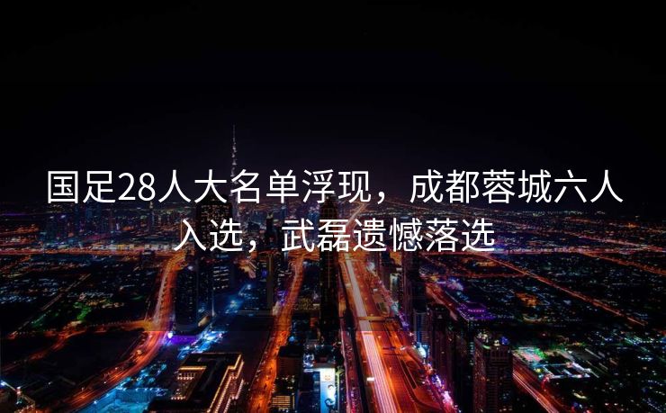 国足28人大名单浮现，成都蓉城六人入选，武磊遗憾落选