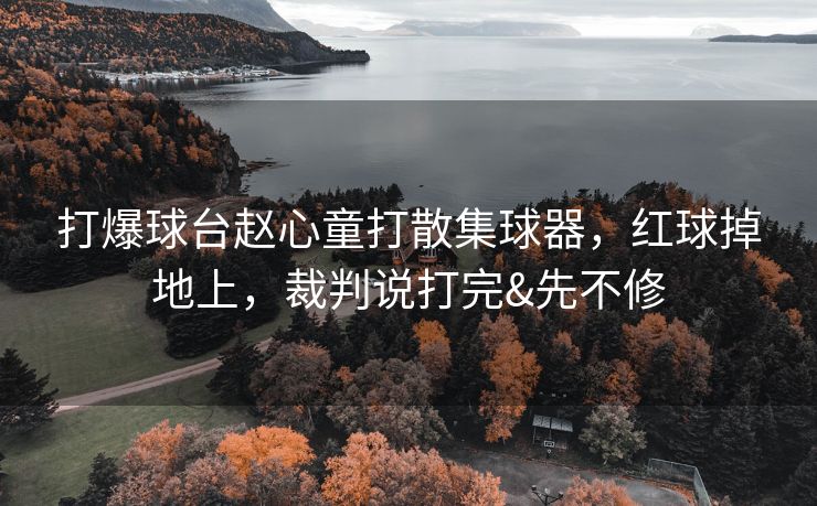 打爆球台赵心童打散集球器，红球掉地上，裁判说打完&先不修