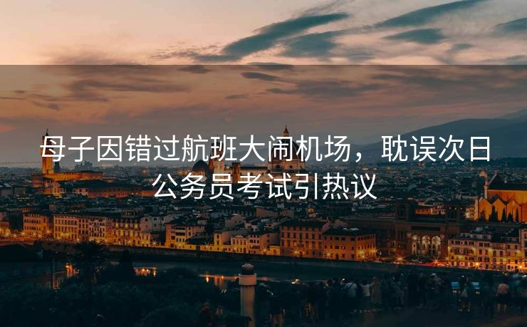 母子因错过航班大闹机场，耽误次日公务员考试引热议