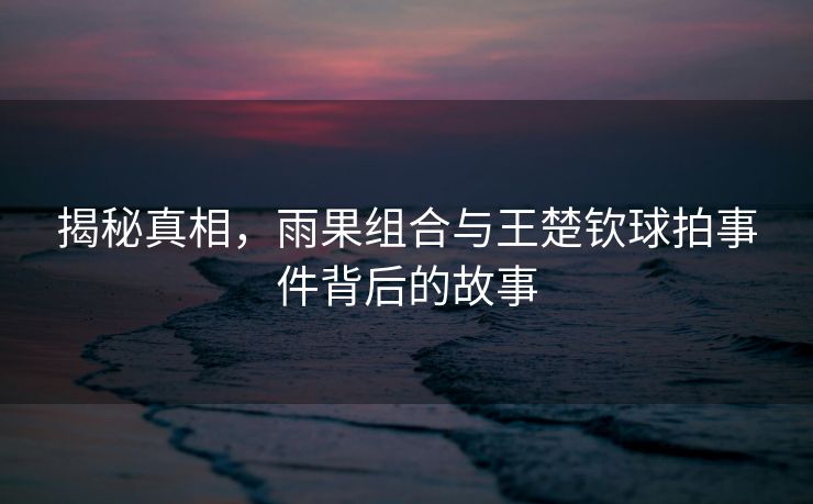 揭秘真相，雨果组合与王楚钦球拍事件背后的故事