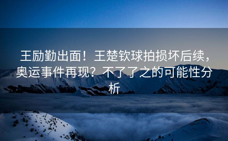 王励勤出面！王楚钦球拍损坏后续，奥运事件再现？不了了之的可能性分析