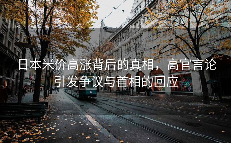 日本米价高涨背后的真相，高官言论引发争议与首相的回应
