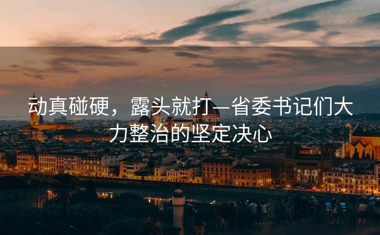 动真碰硬，露头就打—省委书记们大力整治的坚定决心