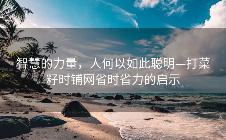 智慧的力量，人何以如此聪明—打菜籽时铺网省时省力的启示