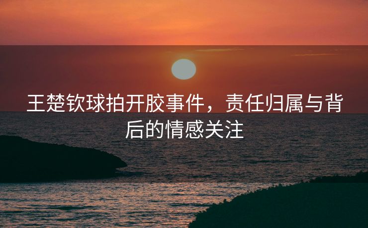 王楚钦球拍开胶事件，责任归属与背后的情感关注