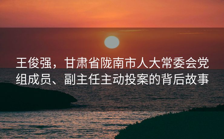王俊强，甘肃省陇南市人大常委会党组成员、副主任主动投案的背后故事