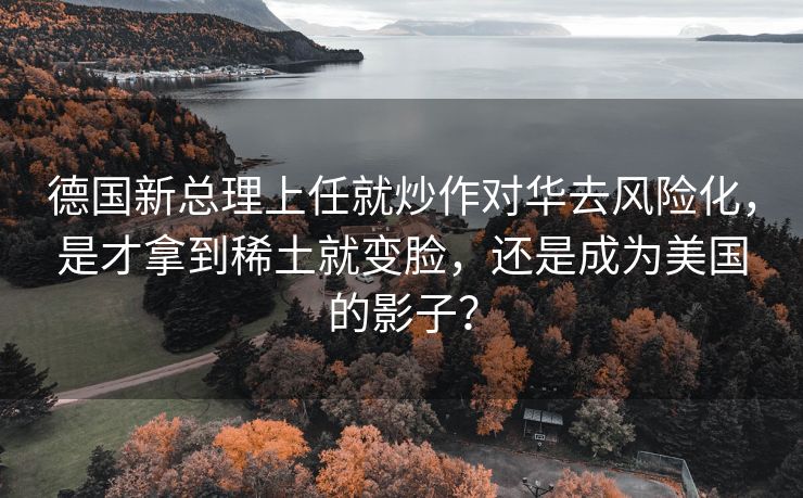 德国新总理上任就炒作对华去风险化，是才拿到稀土就变脸，还是成为美国的影子？