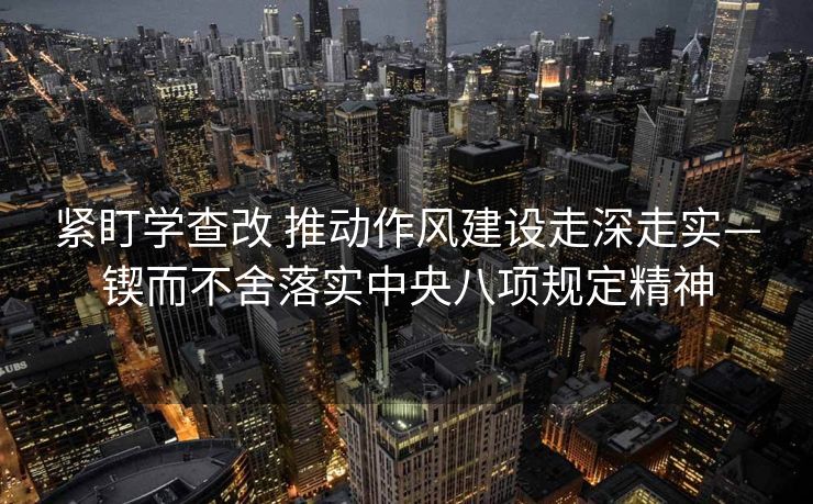 紧盯学查改 推动作风建设走深走实—锲而不舍落实中央八项规定精神