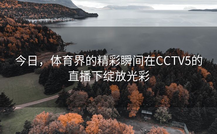 今日，体育界的精彩瞬间在CCTV5的直播下绽放光彩