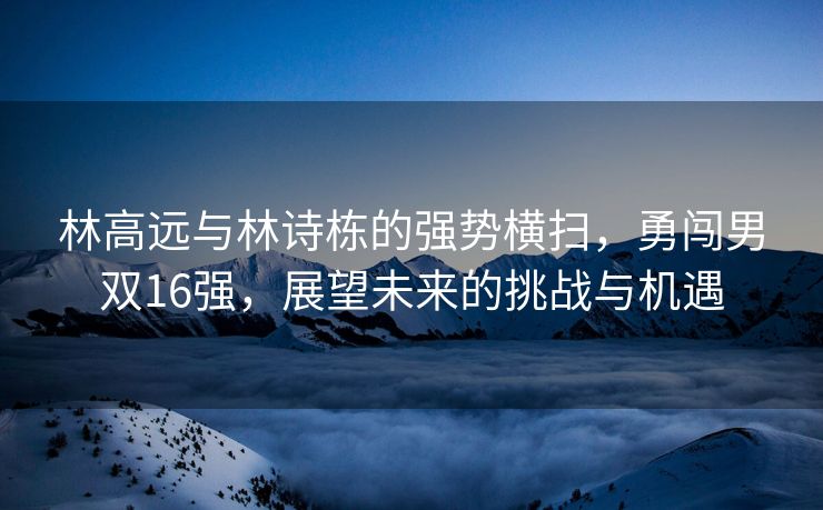 林高远与林诗栋的强势横扫，勇闯男双16强，展望未来的挑战与机遇