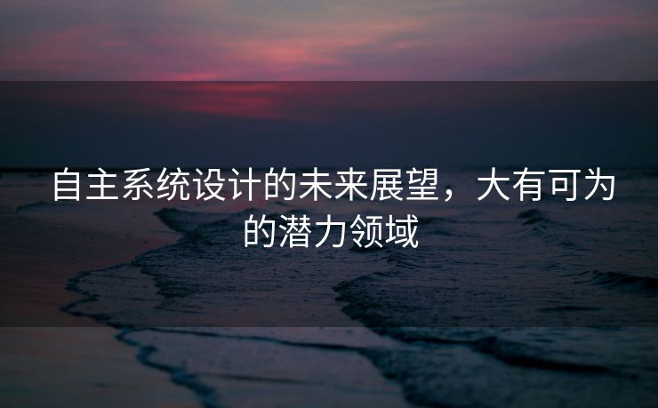 自主系统设计的未来展望，大有可为的潜力领域