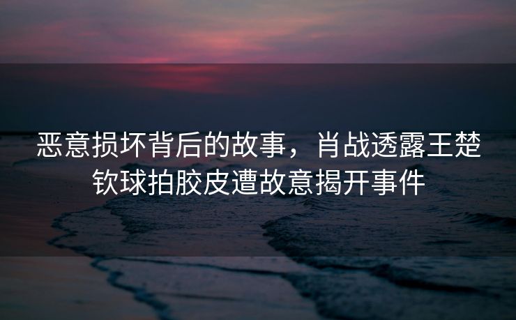 恶意损坏背后的故事，肖战透露王楚钦球拍胶皮遭故意揭开事件
