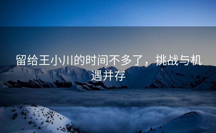 留给王小川的时间不多了，挑战与机遇并存