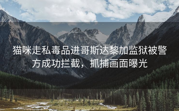 猫咪走私毒品进哥斯达黎加监狱被警方成功拦截，抓捕画面曝光