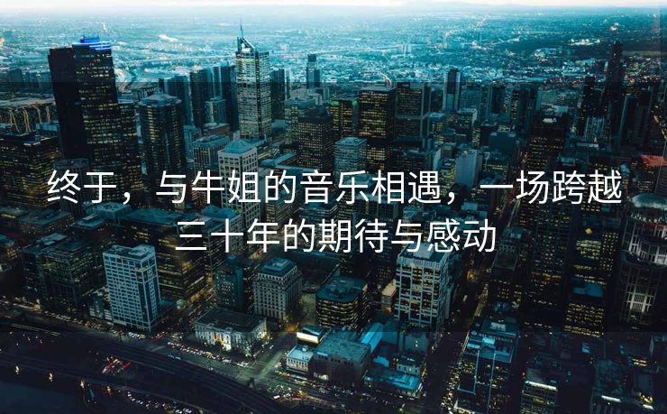 终于，与牛姐的音乐相遇，一场跨越三十年的期待与感动