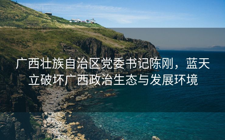 广西壮族自治区党委书记陈刚，蓝天立破坏广西政治生态与发展环境