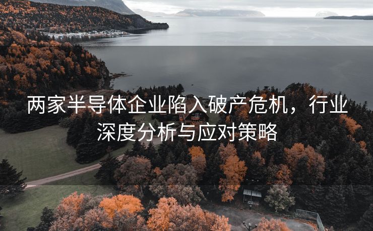 两家半导体企业陷入破产危机，行业深度分析与应对策略