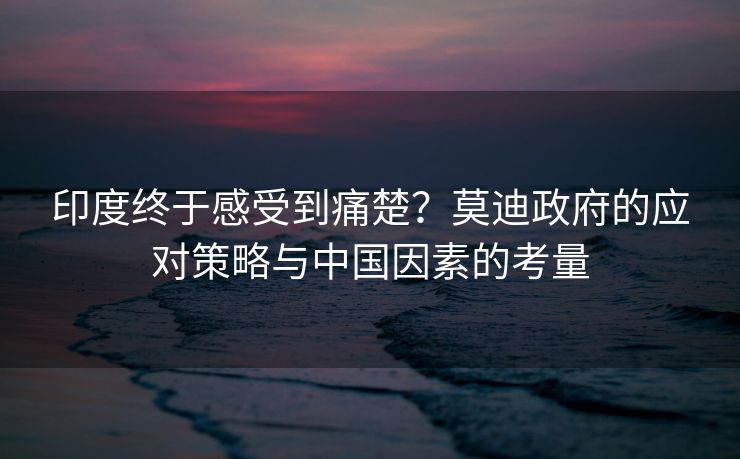 印度终于感受到痛楚？莫迪政府的应对策略与中国因素的考量