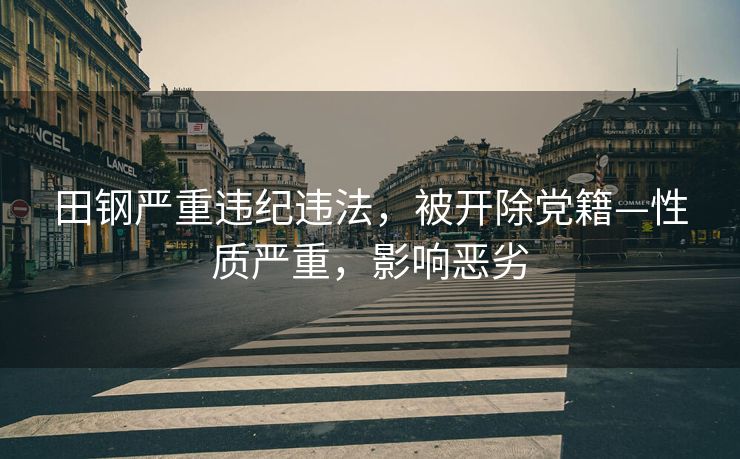 田钢严重违纪违法，被开除党籍—性质严重，影响恶劣