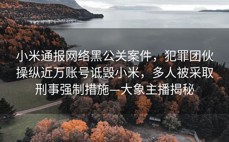 小米通报网络黑公关案件，犯罪团伙操纵近万账号诋毁小米，多人被采取刑事强制措施—大象主播揭秘