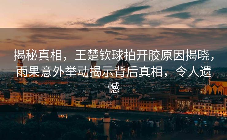 揭秘真相，王楚钦球拍开胶原因揭晓，雨果意外举动揭示背后真相，令人遗憾
