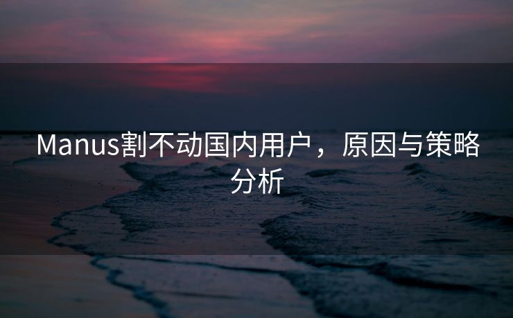 Manus割不动国内用户，原因与策略分析