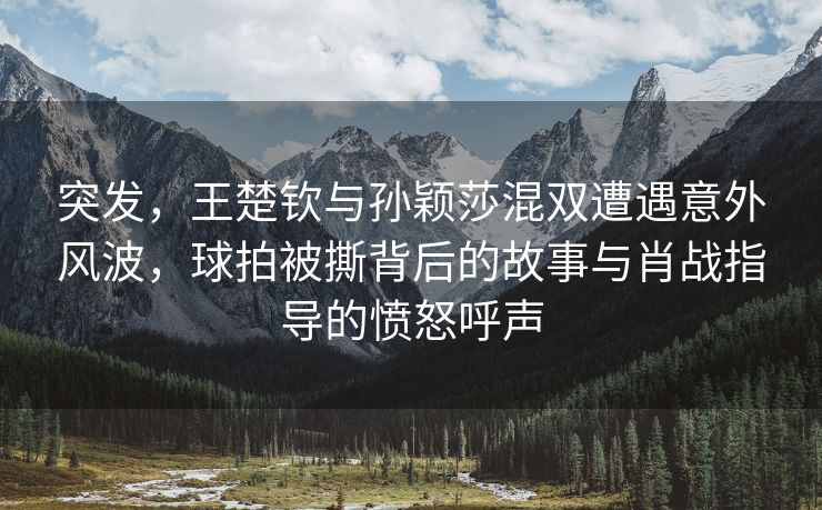 突发，王楚钦与孙颖莎混双遭遇意外风波，球拍被撕背后的故事与肖战指导的愤怒呼声
