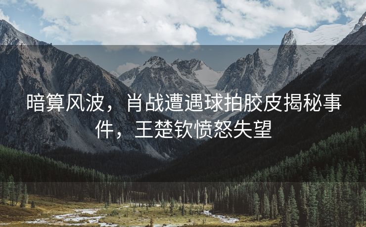 暗算风波，肖战遭遇球拍胶皮揭秘事件，王楚钦愤怒失望