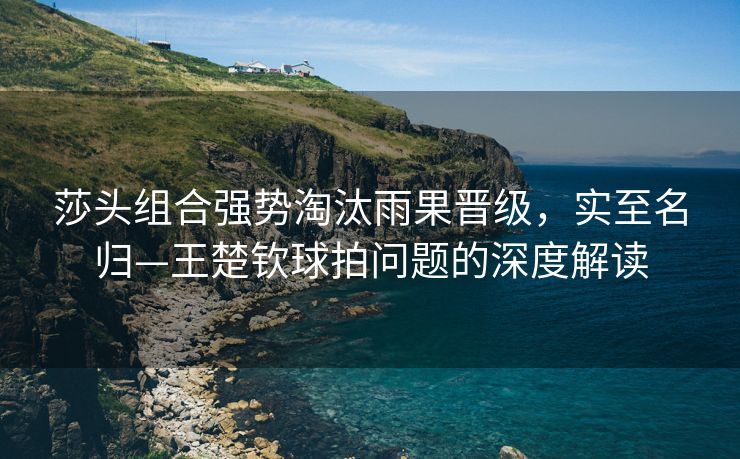 莎头组合强势淘汰雨果晋级，实至名归—王楚钦球拍问题的深度解读