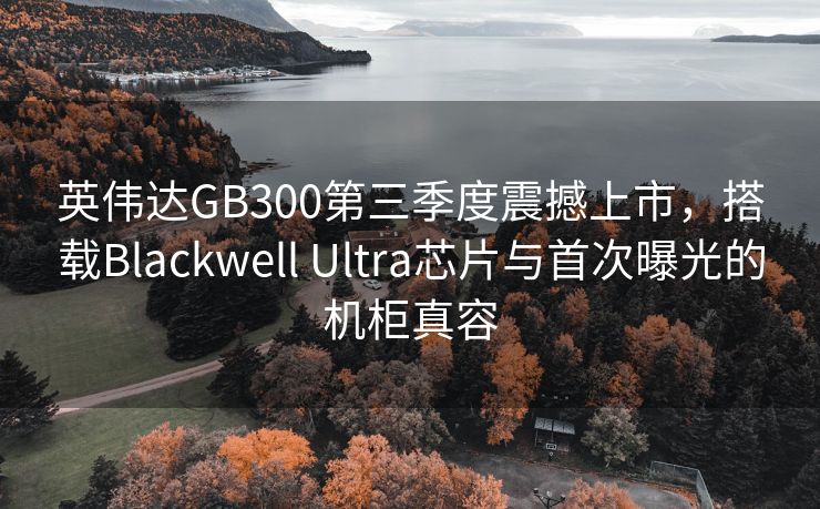 英伟达GB300第三季度震撼上市，搭载Blackwell Ultra芯片与首次曝光的机柜真容
