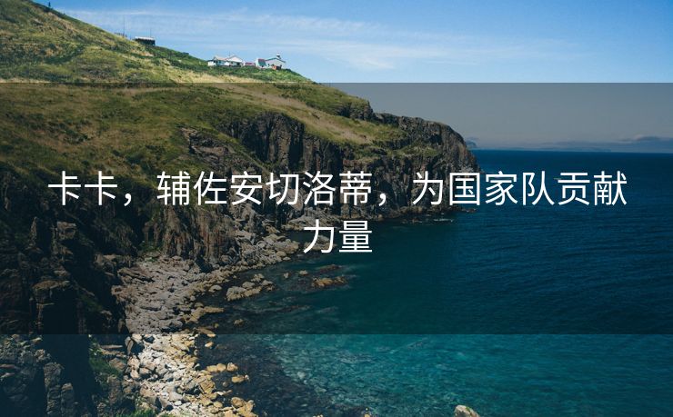 卡卡，辅佐安切洛蒂，为国家队贡献力量