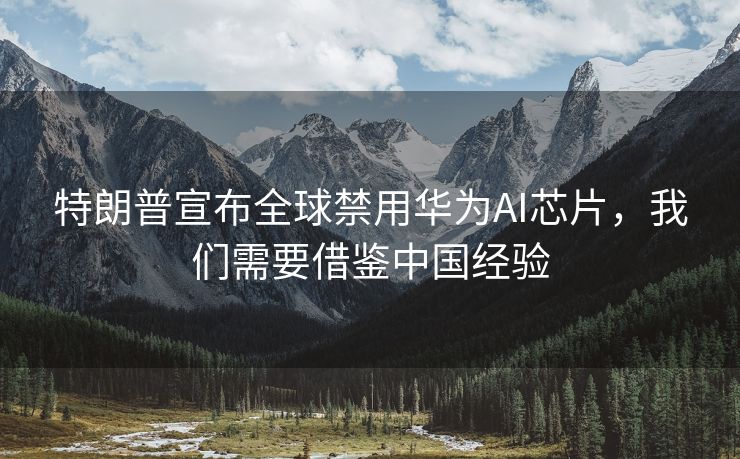 特朗普宣布全球禁用华为AI芯片，我们需要借鉴中国经验