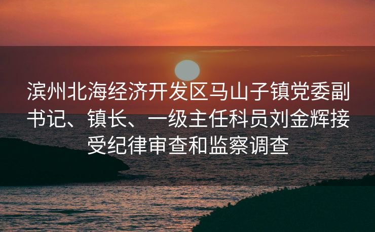 滨州北海经济开发区马山子镇党委副书记、镇长、一级主任科员刘金辉接受纪律审查和监察调查