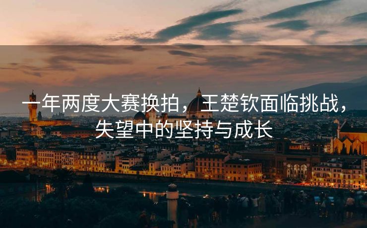 一年两度大赛换拍，王楚钦面临挑战，失望中的坚持与成长