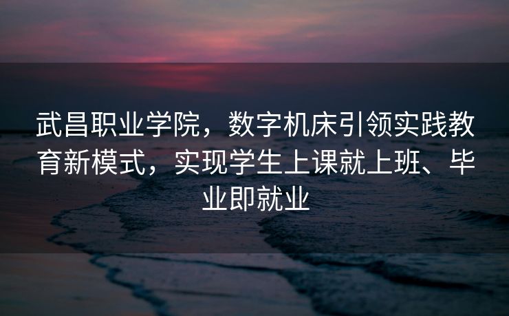 武昌职业学院，数字机床引领实践教育新模式，实现学生上课就上班、毕业即就业