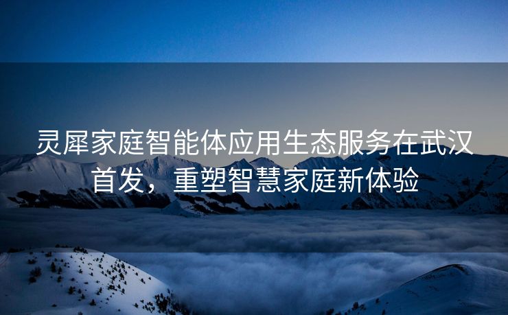 灵犀家庭智能体应用生态服务在武汉首发，重塑智慧家庭新体验