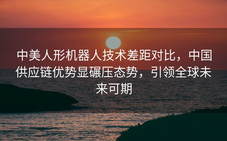 中美人形机器人技术差距对比，中国供应链优势显碾压态势，引领全球未来可期