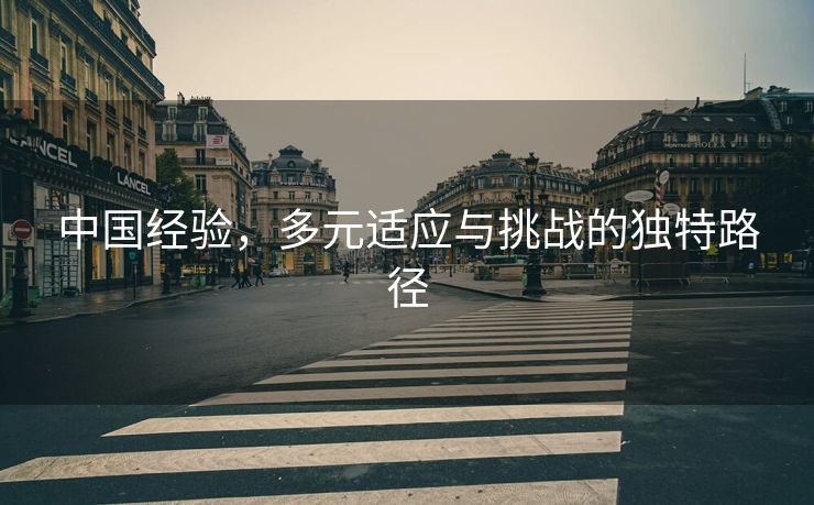 中国经验，多元适应与挑战的独特路径
