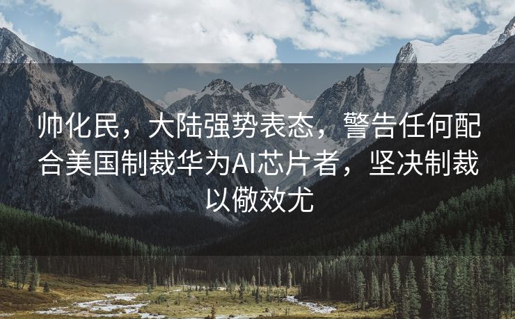 帅化民，大陆强势表态，警告任何配合美国制裁华为AI芯片者，坚决制裁以儆效尤