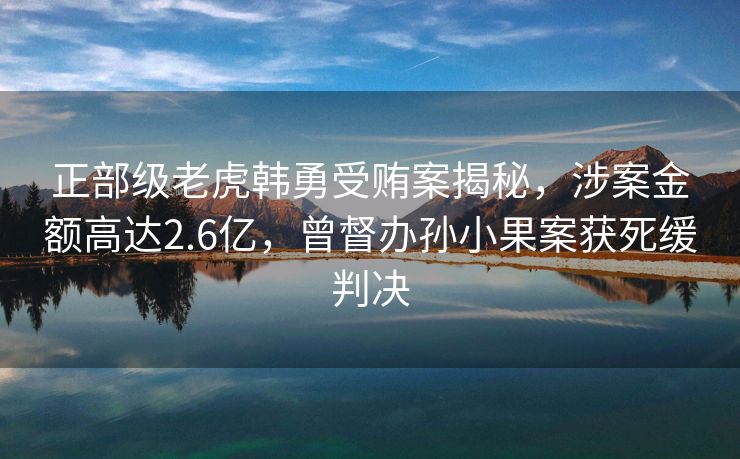 正部级老虎韩勇受贿案揭秘，涉案金额高达2.6亿，曾督办孙小果案获死缓判决